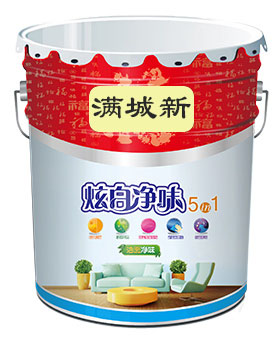 炫白净味5合1墙面漆